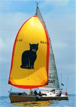 Didi 38 radius chine plywood boat plans